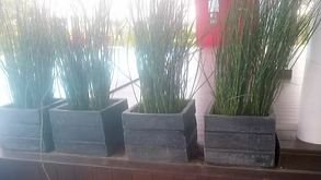Hotel Project
