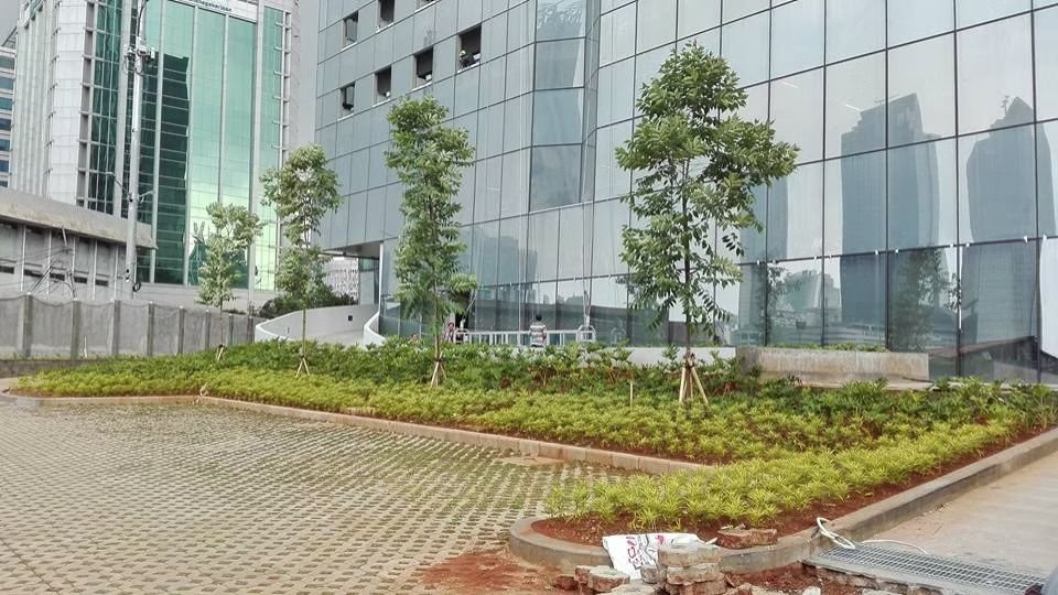 Office Project
