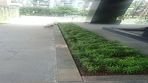 Office Project