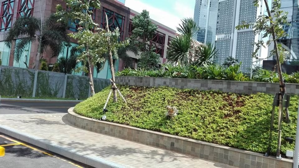 Office Project