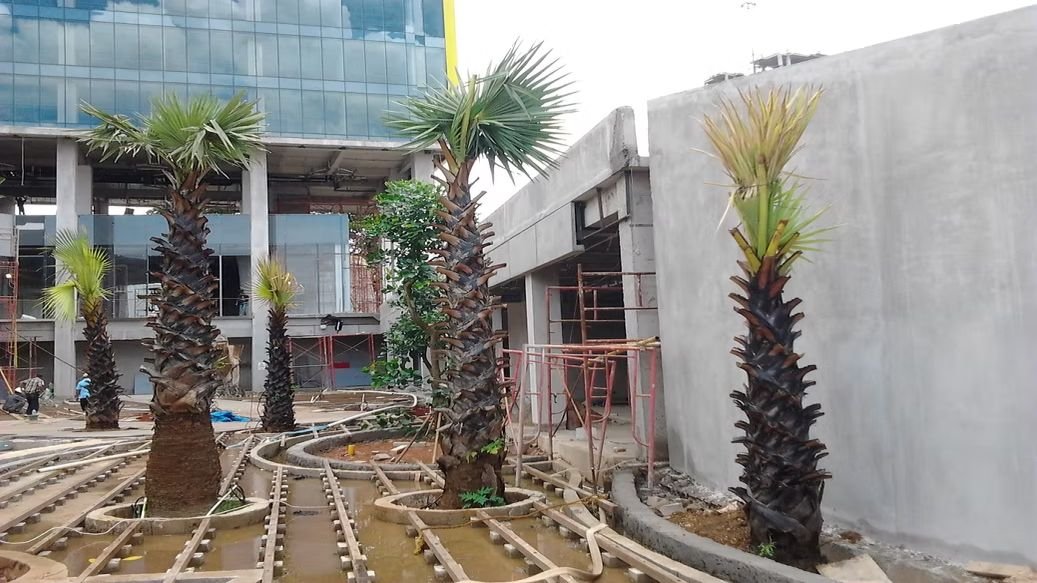 Hotel Project