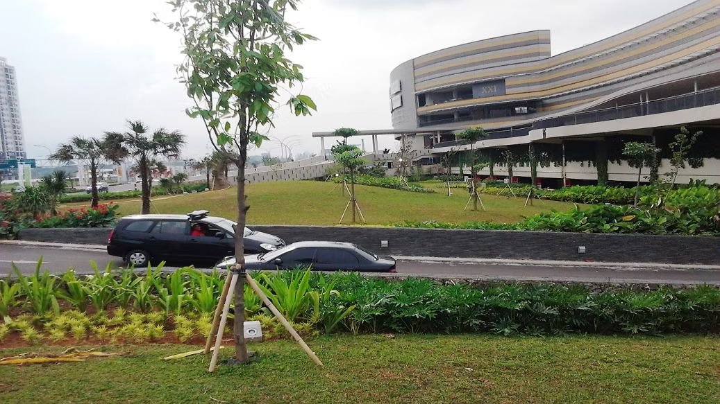 Commercial Project